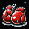 Spatial Boxing Pro