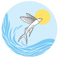 FlyingFish Business Continuity pc