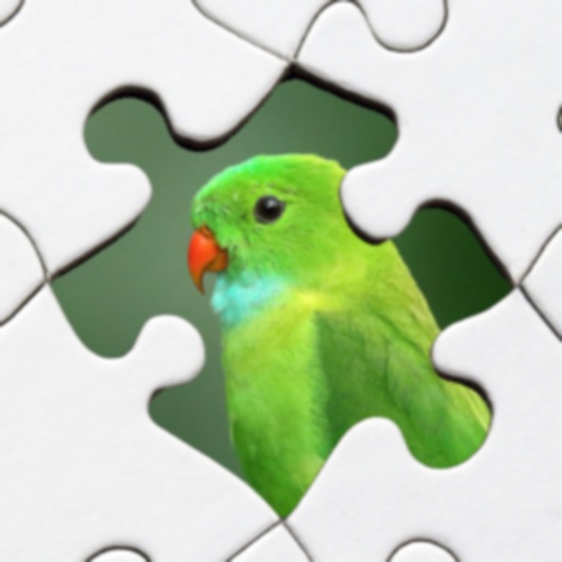 Jigsaw Puzzles: Creative Story