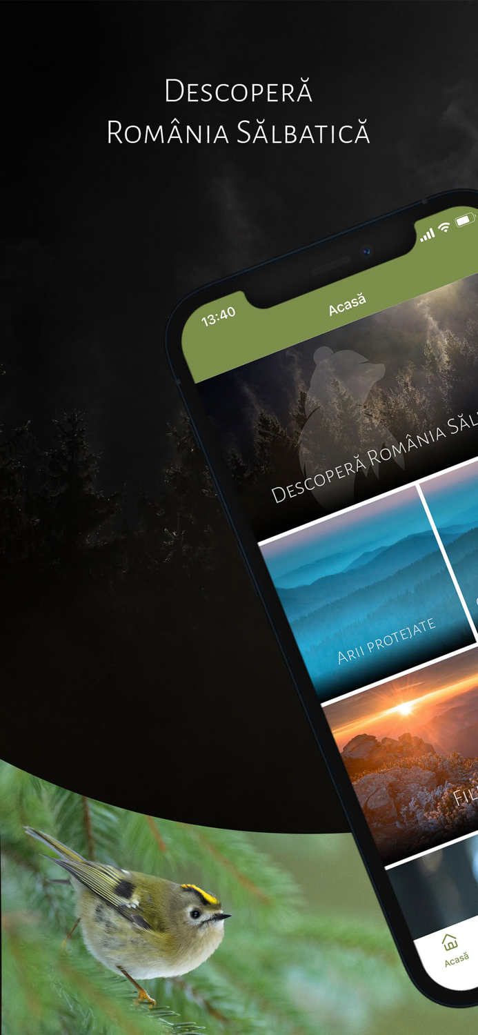 România Sălbatică