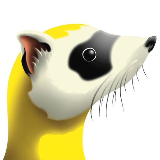 cableferret