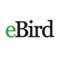 eBird