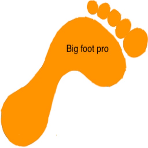 Big foot pro foot-training