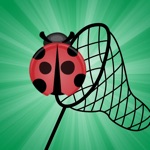 Garden Catch Bugs