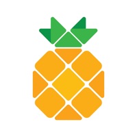 Contacter Pineapple - Website Builder