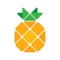 Pineapple - Build Apps