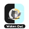 Waken Owl 24X7