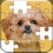 Icon Jigsaw Puzzles Classic Games