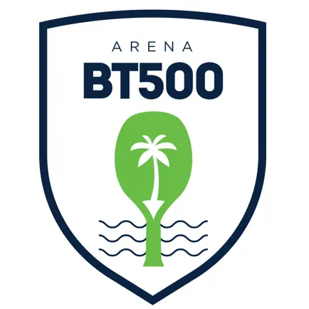 Arena BT500 Читы