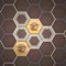 BeeDoku is a simple puzzle game that involves a board made up of a bunch of hexagons, similar to a Beehive