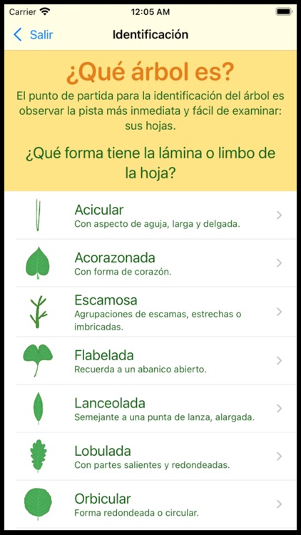 Que Arbol Es screenshot-5