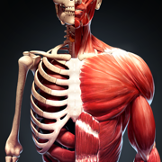 Discover Human Body 3D