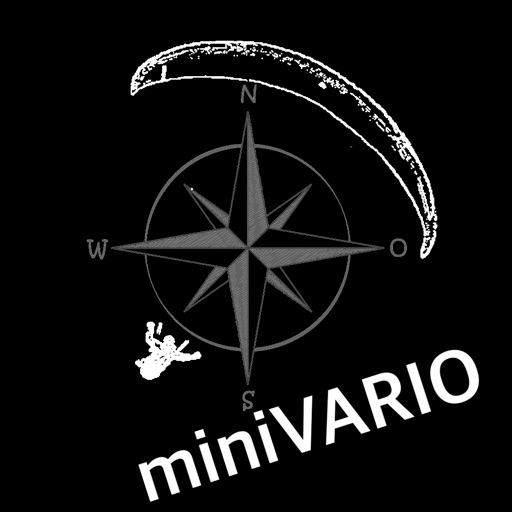 miniVario