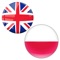 The English to Polish Translator app is a best Polish to English translation app for travelers and Polish to English learners