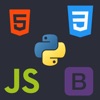 Icon Web Development With Python