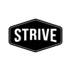 Strive Men's Bible Study App