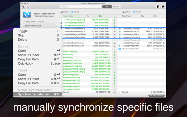 ‎DSync - File Synchronizer Screenshot