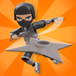 Ninja Striker 3D