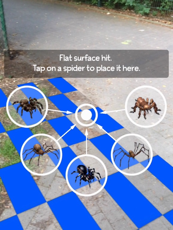 AR Spiders Screenshots