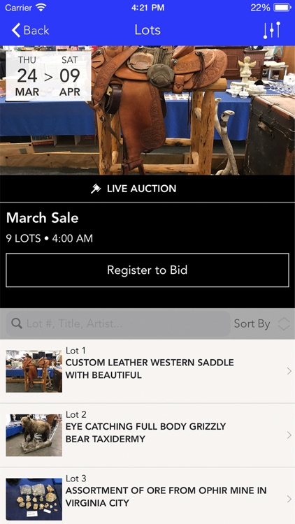 Lightning Auctions