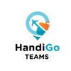Handigo teams