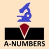 A-Number