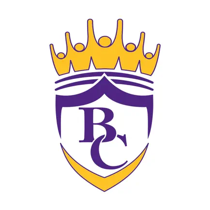 Bleckley County Schools Читы