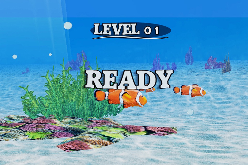 Fish Race Version screenshot 4