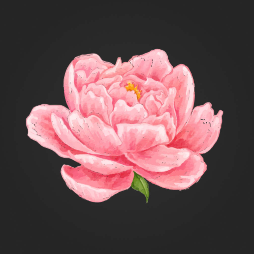 Get Flowers Magic | Гомель for iOS, iPhone, iPad Aso Report