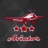 Icon Aviator Wings