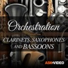 Clarinet, Saxaphone & Bassoon