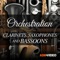 This orchestral wind course takes an in-depth look at the individual members of the clarinet, bassoon and saxophone families