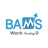 BAMS Work Tracking