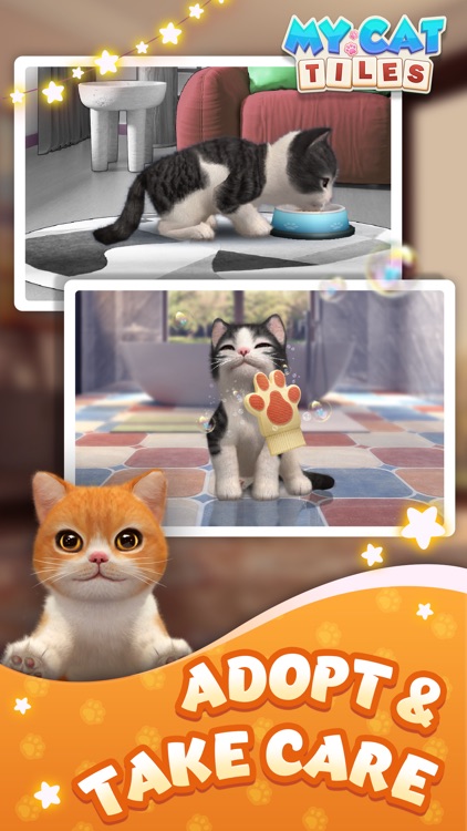 Download Matching Cat Pfp Pacify Wallpaper
