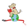 Rhodes Collar Dog Training