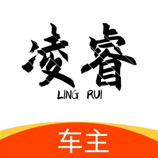 凌睿车主logo