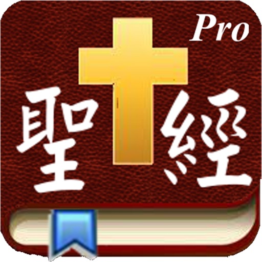 Handy Bible Chinese Pro 隨手讀聖經