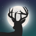 Deer Calls for Whitetail
