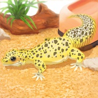 Leopard Gecko Pet PC 용