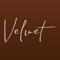 Velvetの公式アプリが登場。