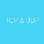 TCP-TP 调试助手 HD - TCPUDP自动定时发送