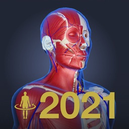 3D anatomy teamLabBody2021
