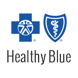 Healthy Blue icon