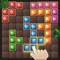 Icon Block Puzzle - Jewel Puzzle