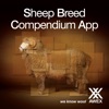 Sheep Breed Compendium