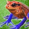 Icon Frog Friends