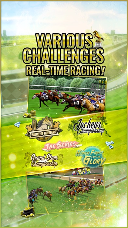 Champion Horse Racing screenshot-3