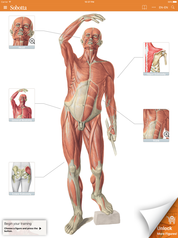 Sobotta Anatomyのおすすめ画像1