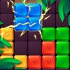 1010 Block King Puzzle
