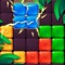 Icon 1010 Block King Puzzle